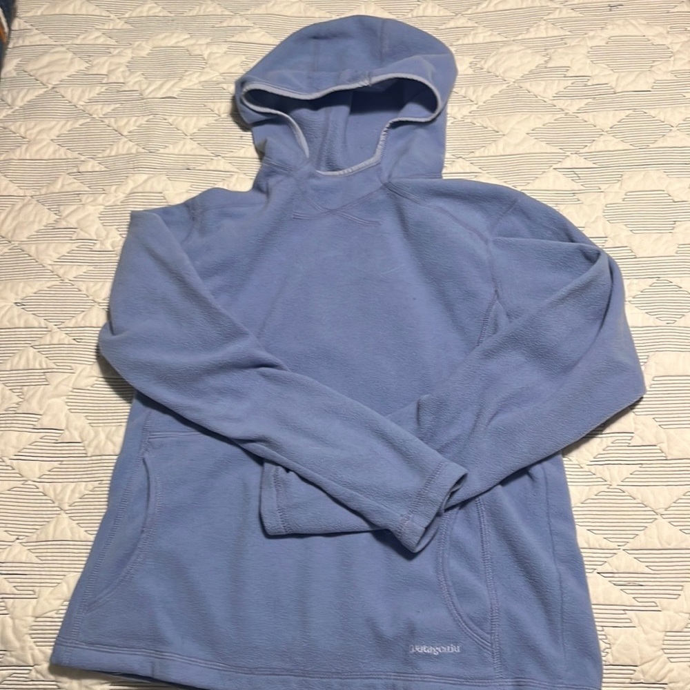 Patagonia Sinchilla fleece hoodie